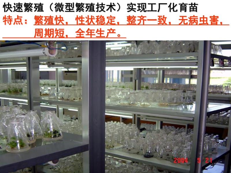 最新植物细胞工程—220108-PPT文档.ppt_第3页