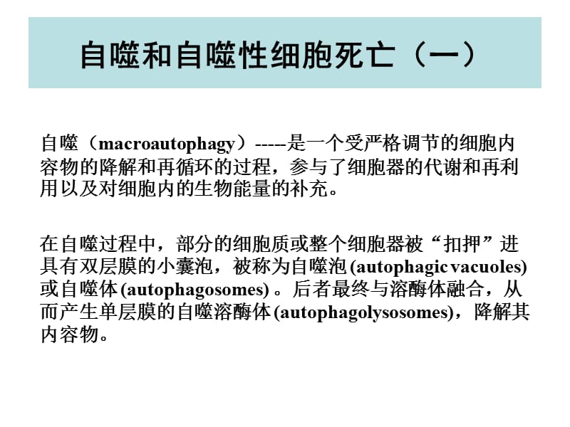 最新：自噬细胞死亡-文档资料.ppt_第2页