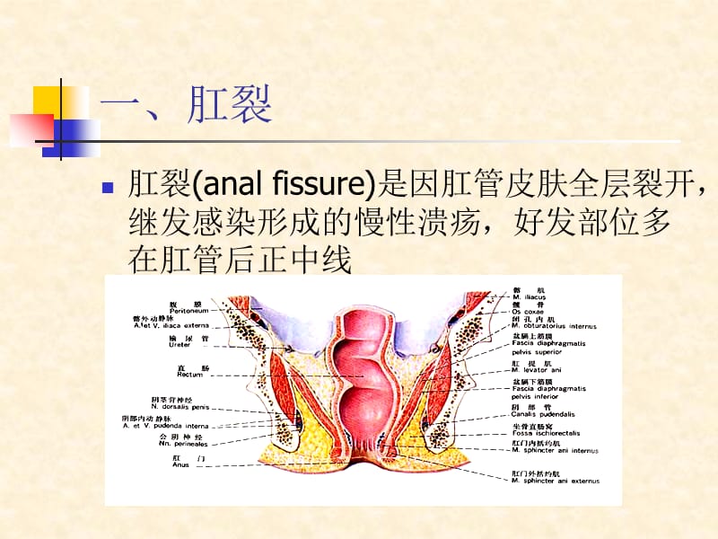 最新：腹部疾病肠肛管疾病外科学课件-文档资料.ppt_第1页