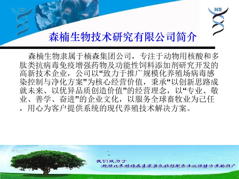 最新肽核酸技术对禽场病毒持续侵染良好控制方案的研究禽病篇-PPT文档.ppt_第2页