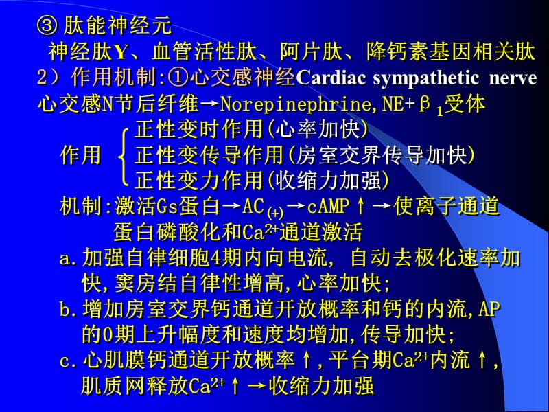 最新第三节心血管活动的调节-PPT文档.ppt_第3页