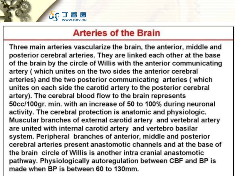 最新：脑血管解剖和造影课件-文档资料.ppt_第1页