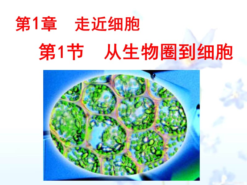 1-1_从生物圈到细胞-PPT课件.ppt_第1页