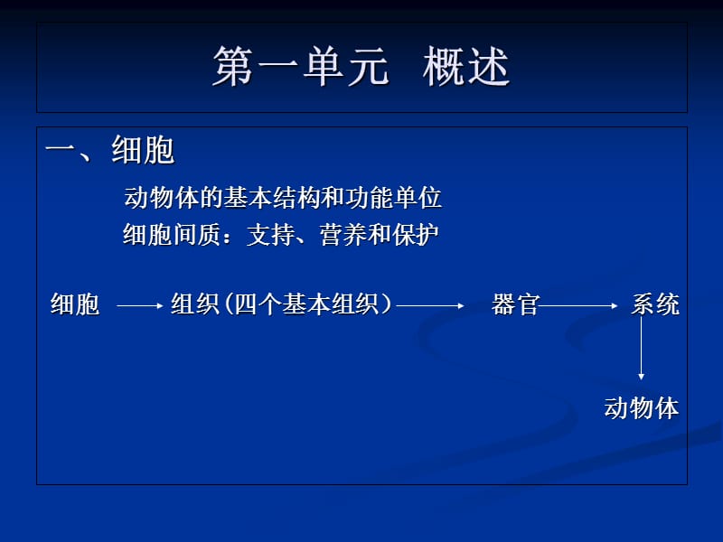 最新动物解剖、组织、胚胎学 PPT课件-PPT文档.ppt_第1页