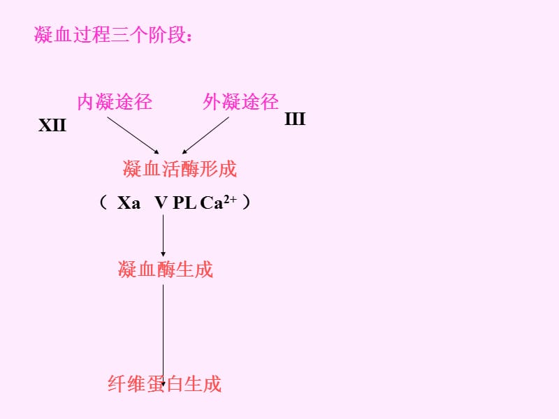 最新第十二章弥散性血管内凝血-PPT文档.ppt_第2页