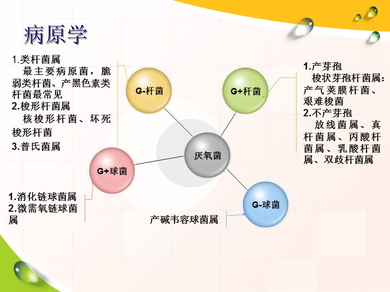 最新厌氧菌感染及厌氧菌药-PPT文档.ppt_第3页