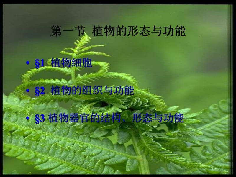 最新第一章植物细胞基本知识-PPT文档.ppt_第2页