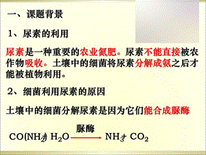 最新专题22土壤中分解尿素的细菌的分离与计数安中-PPT文档.ppt