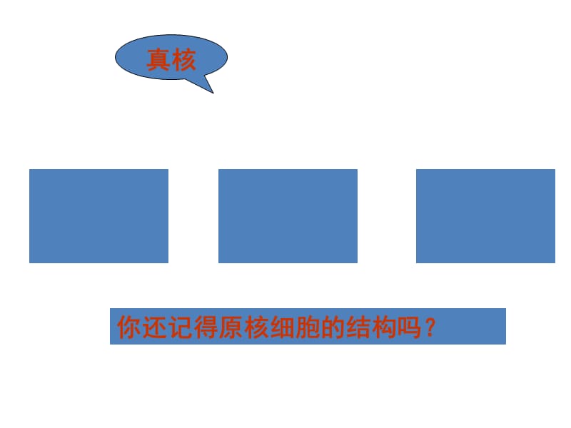 最新人教版教学课件生物精华课件：细胞器——系统内的分工合作-PPT文档.ppt_第1页