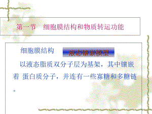 最新第二章细胞基本功能-PPT文档.ppt