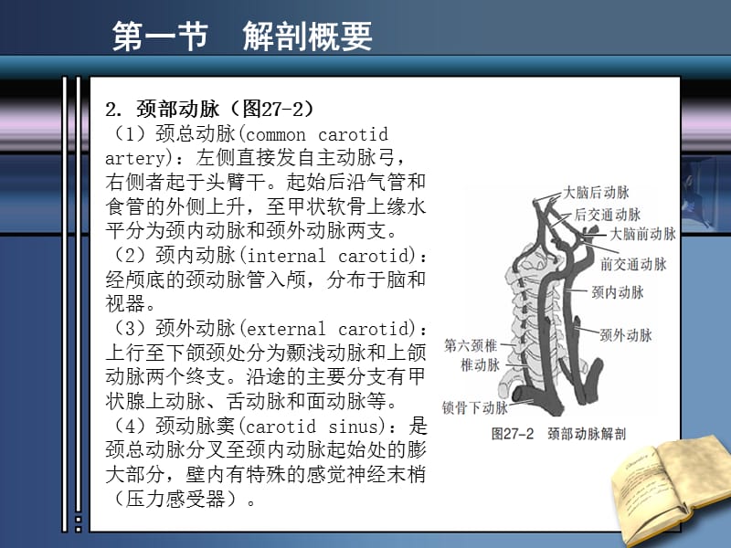 最新第二十七章血管疾病-PPT文档.ppt_第3页