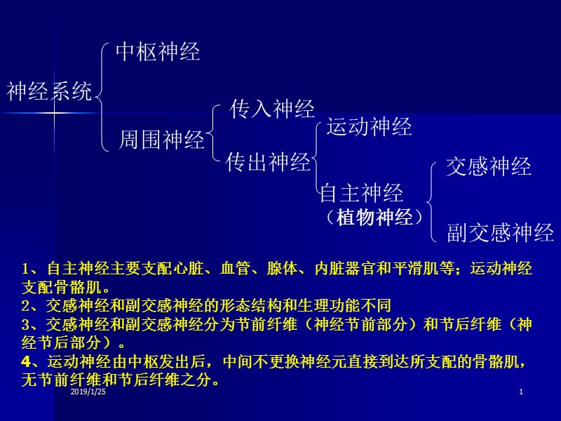 最新第三讲传出神经系统-PPT文档.ppt_第1页