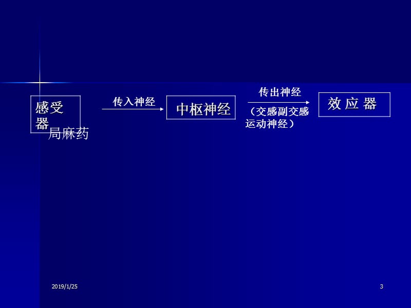 最新第三讲传出神经系统-PPT文档.ppt_第3页