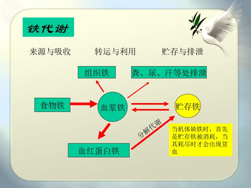 最新：铁代谢障碍贫血-文档资料.ppt_第1页