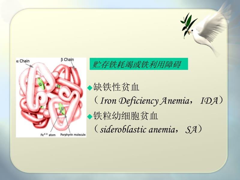 最新：铁代谢障碍贫血-文档资料.ppt_第3页