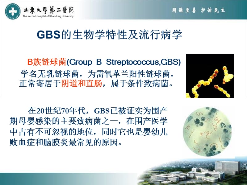 最新GBS与妊娠结局及预防-PPT文档.ppt_第1页