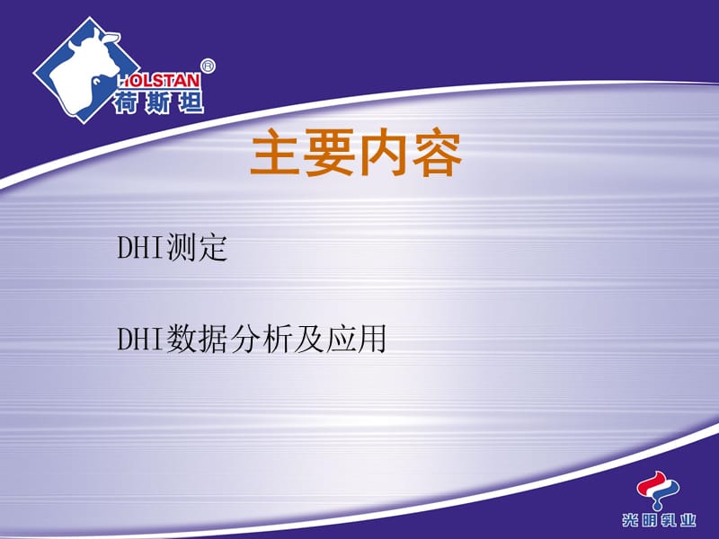 DHI测试系统.ppt_第2页