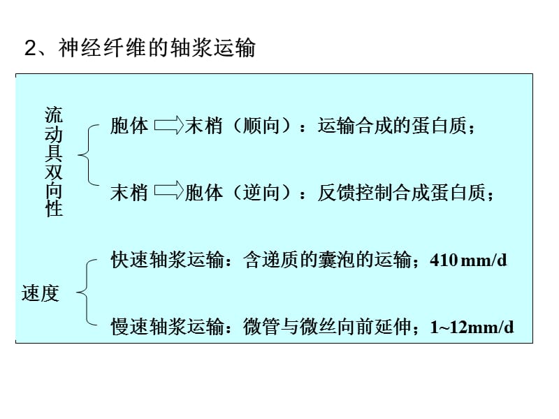 最新第十三章神经系统的运动机能-PPT文档.ppt_第3页