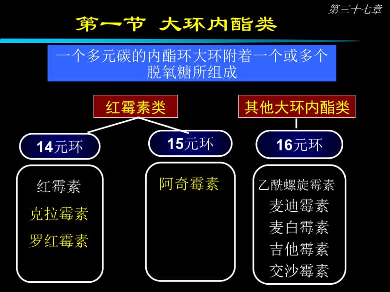 最新大环内酯类抗生素-PPT文档.ppt_第1页