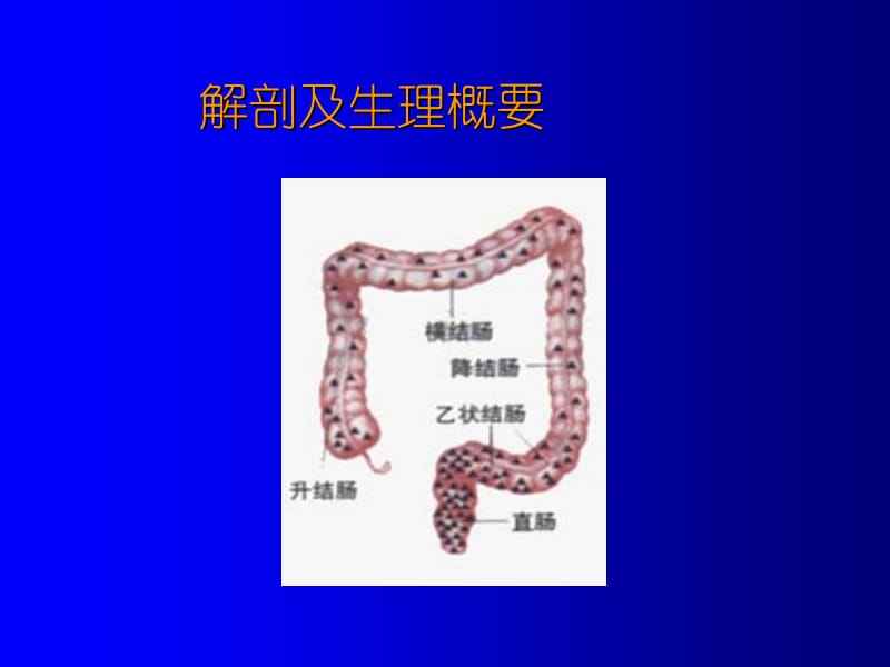 167-结、直肠癌病人的护理-精选文档.ppt_第2页