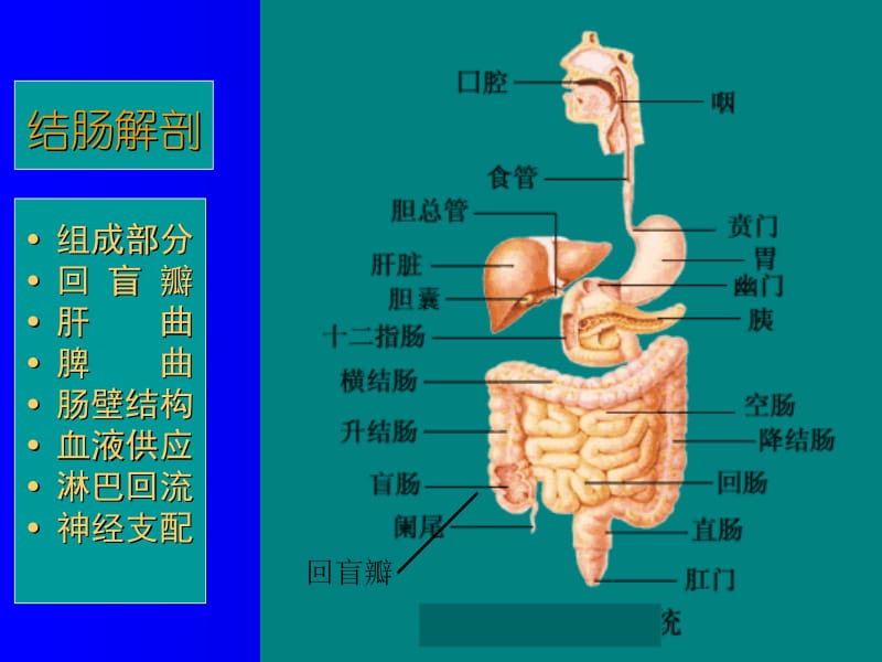 167-结、直肠癌病人的护理-精选文档.ppt_第3页