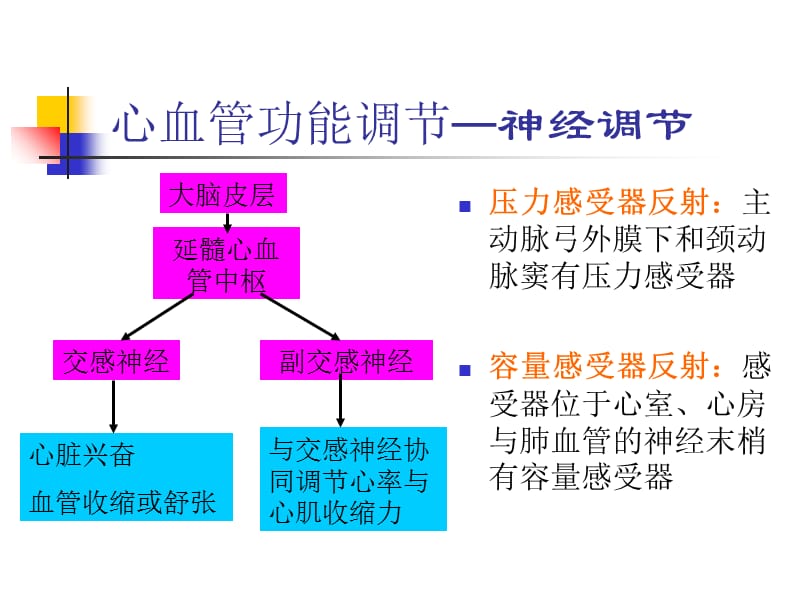 最新心血管药物在麻醉中的应用-PPT文档.ppt_第2页