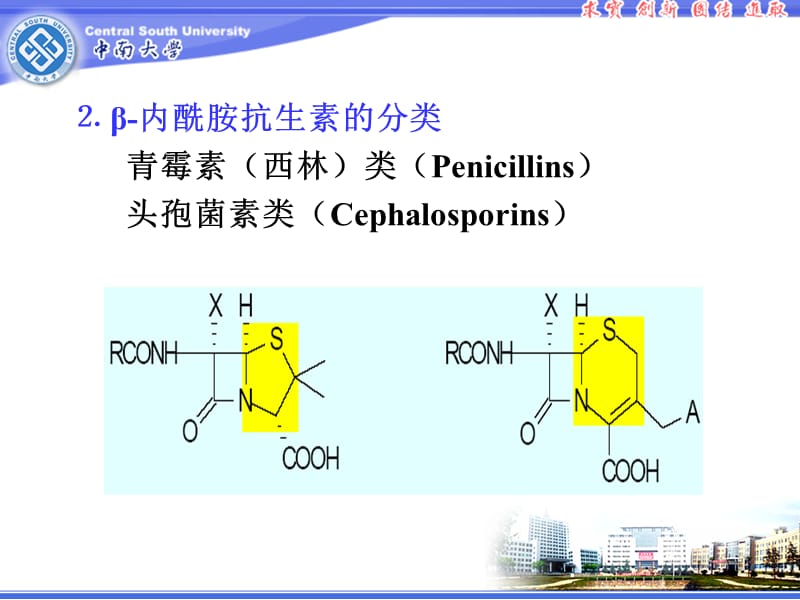 最新抗生素类药物的分析-PPT文档.ppt_第3页