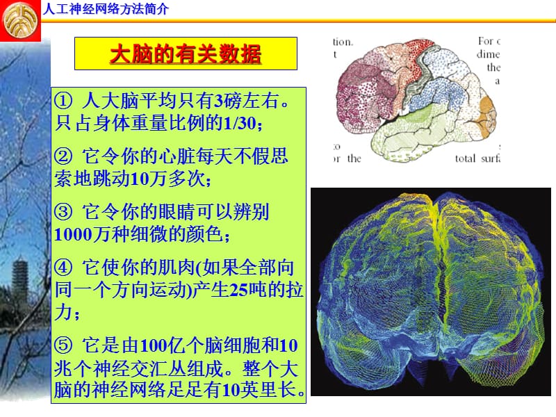 最新人工神经网络方法简介-PPT文档.ppt_第3页