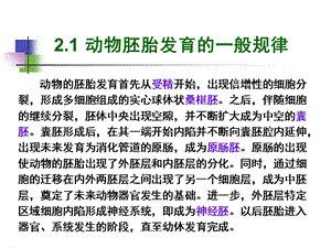 最新动物学-2.多细胞动物的胚胎发育-PPT文档.ppt