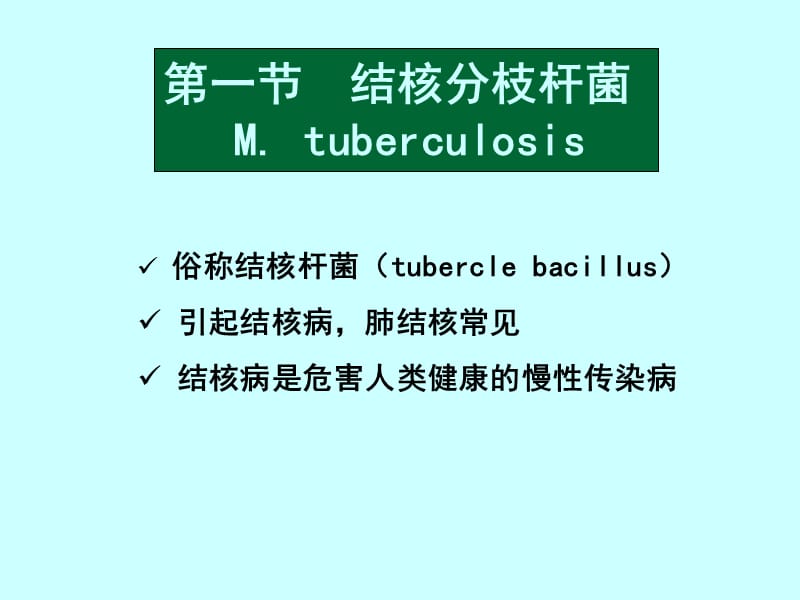 14+呼吸道感染细菌-文档资料.ppt_第2页