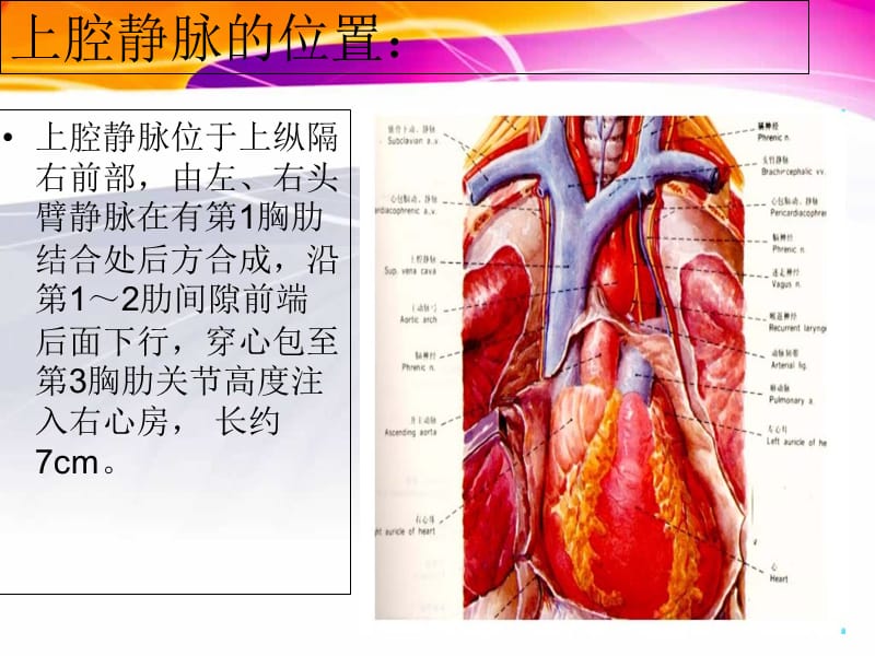 最新上腔静脉阻塞综合症-PPT文档.ppt_第2页