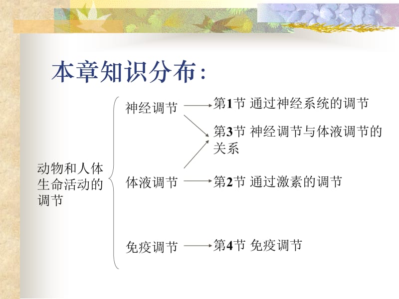 最新人教版教学课件人教生物必修三2-1通过神经系统的调节-PPT文档.ppt_第1页