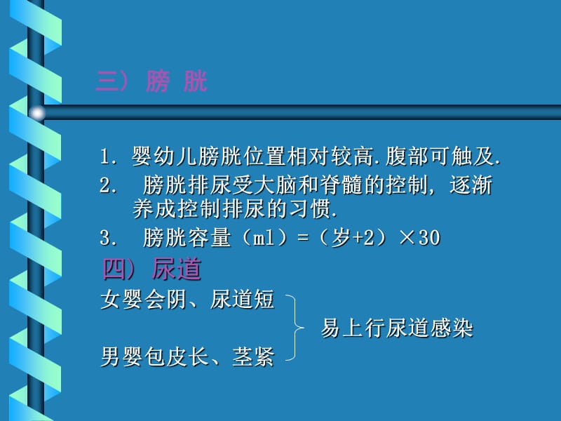 最新泌尿系统疾病总论-PPT文档.ppt_第2页