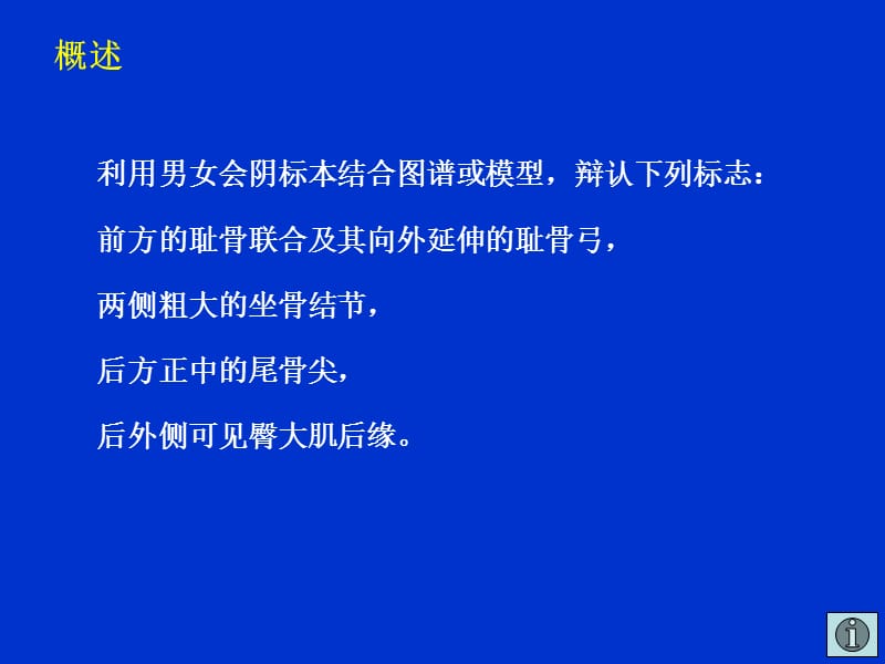 最新大纲要求概述表面解剖详细内容操作过程实习要点自我测试-PPT文档.ppt_第3页