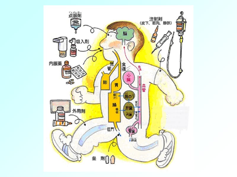 最新：药物疗法与过敏试验法-四川大学华西护理学院课件-文档资料.ppt_第2页