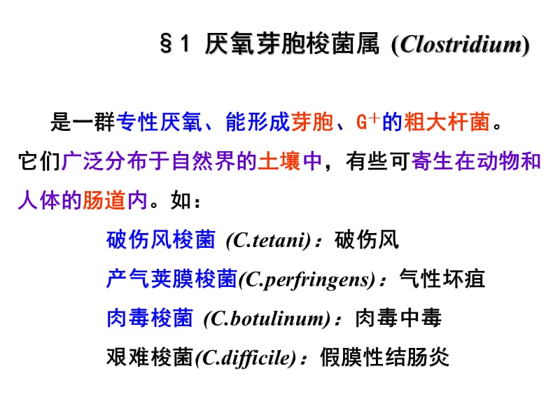 最新医学微生物学课件厌氧细菌-PPT文档.ppt_第2页