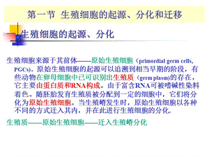 最新A-第1章生殖细胞的发生-PPT文档.ppt