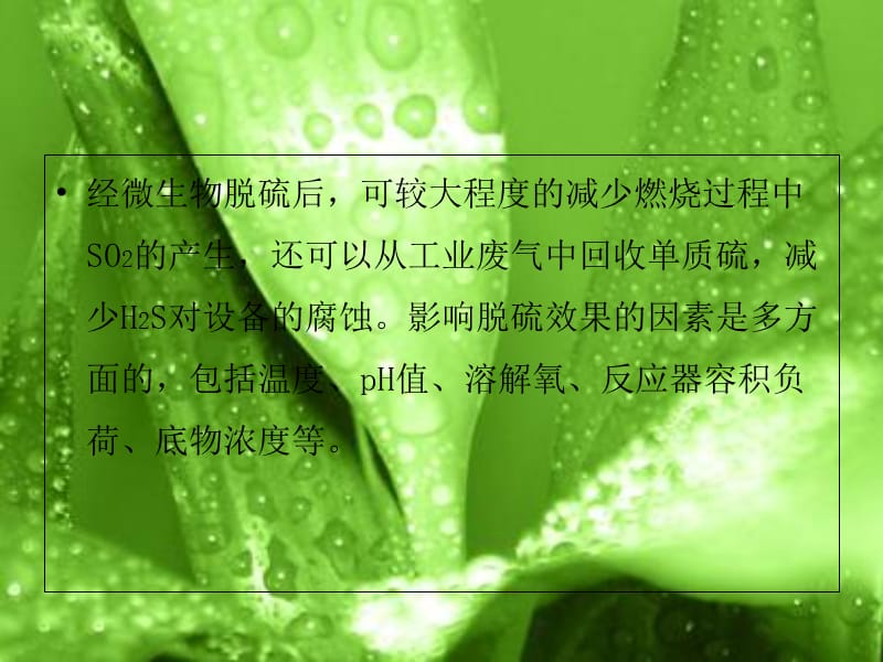 最新刘金成硫化细菌-PPT文档.ppt_第2页