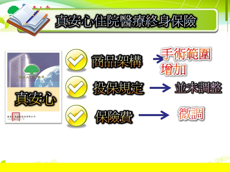 保险商品谘询企划书.ppt_第2页