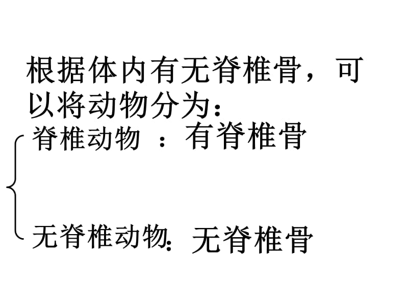 2.4常见的动物2(脊椎动物) 课件(46张PPT).ppt_第2页