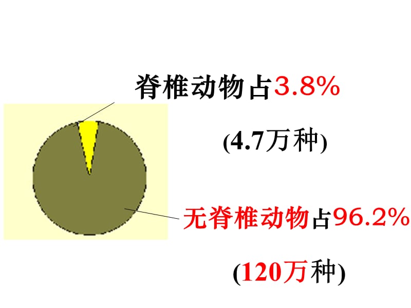 2.4常见的动物2(脊椎动物) 课件(46张PPT).ppt_第3页