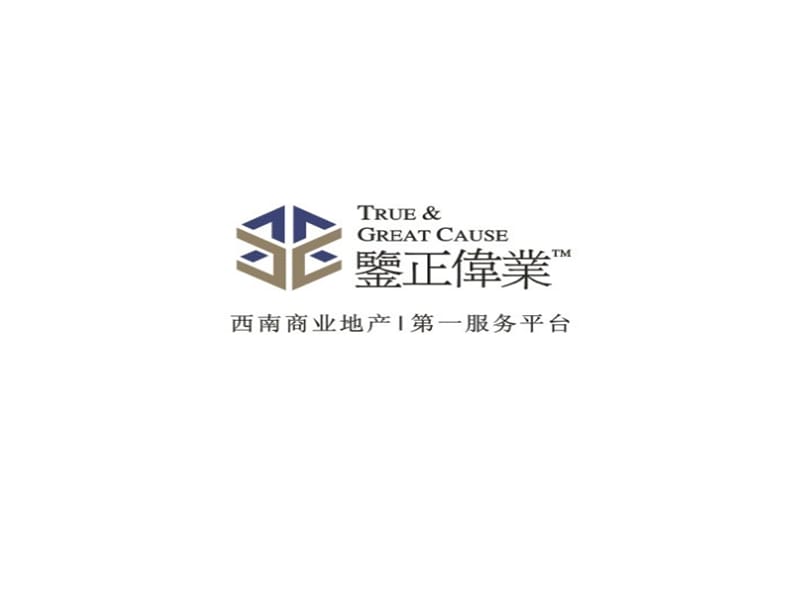 重庆渝秀大道西段商业项目前期定位与规划建议（63页）.ppt_第1页