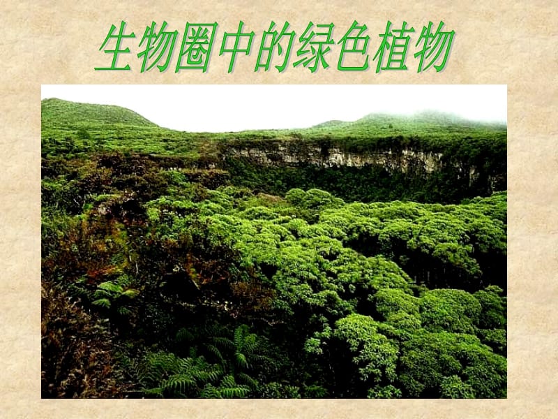 第一节_藻类_苔藓和蕨类植物课件 (2).ppt_第1页