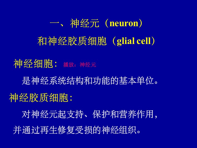 2014神经系统1五年制.ppt_第3页