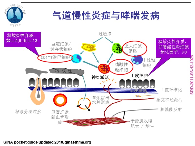 2012哮喘指南解读.ppt_第2页