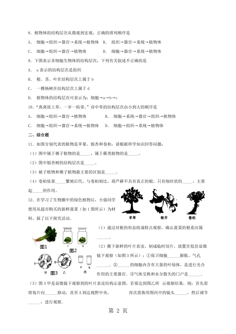 人教版七年级上册生物 2.2.3 植物体的结构层次 同步练习-word.doc_第2页