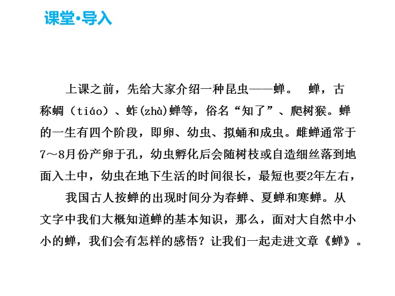 2018年秋人教部编版八年级语文上册19.《蝉》课件 (共19张PPT).pptx_第2页