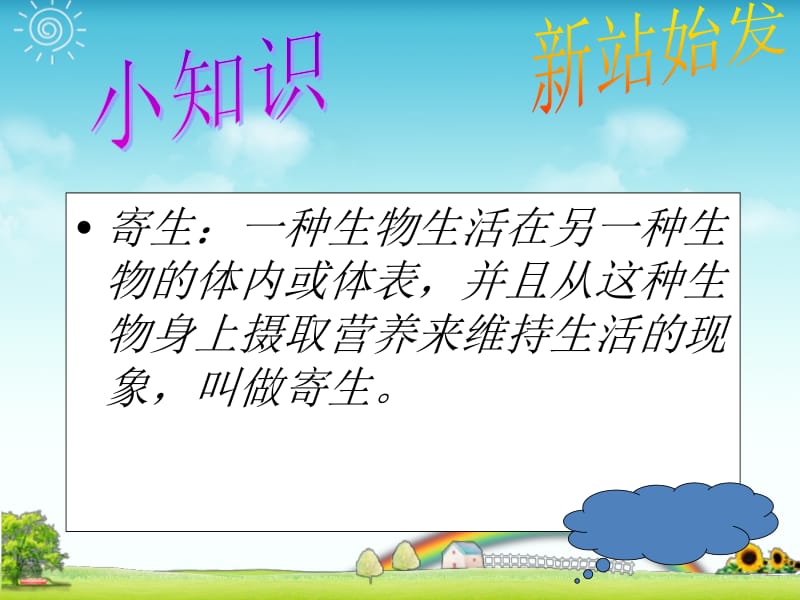 第二节__线形动物和环节动物 (2).ppt_第2页