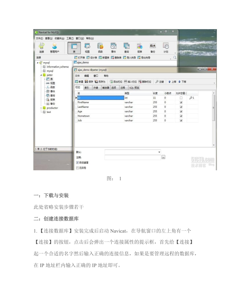 Naicat for MySQL使用手记.doc_第2页