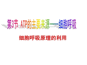 细胞呼吸原理的应用1111.ppt